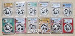 12 Pcs PCGS MS70 China 2024 30g (30 grams) Silver Panda Coins