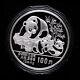 1989 China 100 Yuan 12 Oz Panda Silver Coin