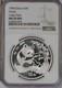 1994 Silver Panda 1 Oz. 10 Yuan Large Date Ngc Ms69 Deep Prooflike