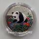1999 China 10yuan Panda Silver Coin 1oz 1999 Color Panda Silver Coin