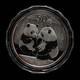 2009 China 50 Yuan 5 Oz Proof Panda Silver Coin