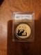 2015 China Panda Silver 10 Yuan Ms 70 Pcgs First Releases 1 Of The 1st 25,000
