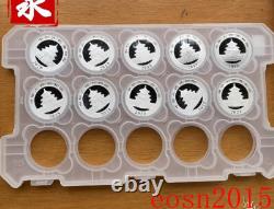 2016-2025 China 10YUAN Panda Silver Coins 30g(1oz) 10PCS With COA, Panda coin