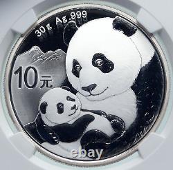 2019 CHINA PANDA MOM with CUB Proof Silver 10 Yuan Chinese Coin NGC MS70 i86684