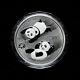 2022 China Panda Coin 300 Yuan 1000g (1kg) Ag. 999 Panda Silver Coin