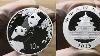 2023 China Panda 30g Silver Bu Coin