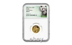 2025 China 3-gm Gold Panda NGC MS70 First Releases withGreen Panda Label