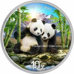 2026 China Panda, 30 grams pure Silver Colorized coin! Collect the Series