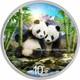 2026 China Panda, 30 Grams Pure Silver Colorized Coin! Collect The Series