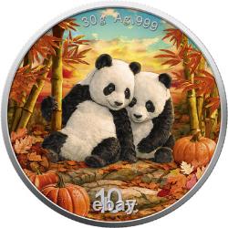 2026 China Panda Four Seasons Autumn 30g Silver Coin Colored