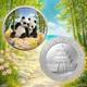 2026 China Panda Four Seasons Summer 30g Silver Coin Colored