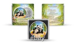 2026 China Panda Four Seasons Summer 30g Silver Coin Colored