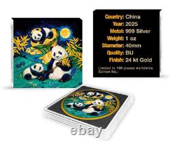 30g Silver Coin 2025 China Panda Shimmering Temple of Heaven Color Mintage 100