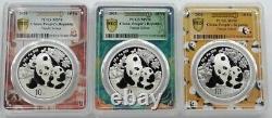 3 Pcs PCGS MS70 2024 China Panda 30g Silver Coin with COA First Day of Issue