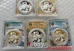 5pcs -5 city label -2025 China 10 Yuan 30g Panda Silver Coin PCGS MS70-First Day