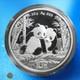 China 10 Yuan Panda 2026 1 Silver Ounce