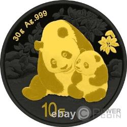 CHINA PANDA Gold Black Empire Silver Coin 10 Yuan China 2024