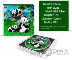 CHINESE PANDA Silver Coin 10 Yuan China 2025