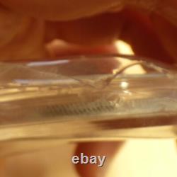 China 10 yuan Panda 2002 silver 99.9% 1 oz silver coin in capsule +seal (argent)