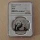 China 10 Yuan Panda 2015 Ngc Ms69 Silver 99.9%, 1 Oz Silver Coin (within A Slab)