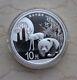 China 2015 1oz Silver Panda Coin The Year Of China In South Africa
