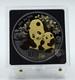 China 2024 Panda Golden Enigma Edition 30g Silver Coin