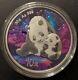 China Panda Northern Lights Edition 30g Silver Coin 2024 With Coa