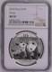 China Silver Panda 10 Yuan 2010 Ngc Ms 70
