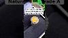 Icy Yellow Kade Egg Ring G18k Customized Jewelry Earrings Jewellery Pendant Necklace Gems China