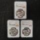 Large& Small Twig+small Date 1995 China 10 Yuan 1oz Panda Silver Coin Ngc Ms69