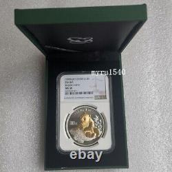NGC MS69 1998 China 10YUAN Beijing International Coin Expo Panda Silver coin