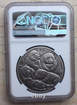 NGC MS70 2022 China 4 Pcs Enamel Silver (4x40g, toal 160g) Panda Medals Seasons