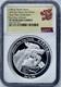 New Year Celebration Panda Dragon 2021 G 2 Oz Silver Coin Ngc Pf70ucam Fdoi Coa