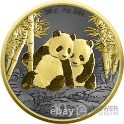 PANDA Golden Ring Silver Coin 10 Yuan China 2026