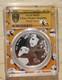 Pcgs Ms70 China 2023 30g Silver Panda Coin (yellow Label. First Day Of Issue)