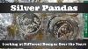 Silver Pandas Looking At Designs Over The Years