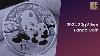 Why You Should Invest In The 30g Silver Panda Coin