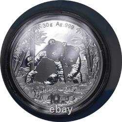10 Yuan 2026 Chine 999 30Gr Pièce d'Argent Panda en Carte