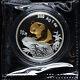 1999 Chine Beijing International Coin Expo 10 Yuan 1oz Ag. 999 Pièces D'argent Panda