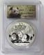 2013 Panda Chinois En Argent De 10 Yuans, &eacute;tat Neuf Pcgs 69