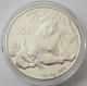 Chine 10 Yuan 2007 Panda 1 Oz Argent