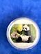 Chine Panda Argent 1 Oz Couleur 2017