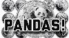 Collection De Pandas Argent Plus Le Nouveau Panda 2020