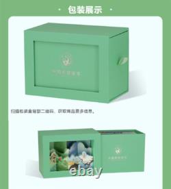 Collection de pièces commémoratives en argent Panda 2022 des Vingt-quatre Termes Solaires