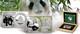 Ensemble Du 40e Anniversaire Du Panda En Argent Chinois 2023 (pi&egrave;ce + Barre D'argent De 2 Oz)