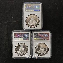Grande et petite brindille + petite date 1995 Chine 10 Yuan 1 once Panda pièce en argent NGC MS69