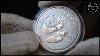 Monnaie En Argent De 1 Oz Panda Chinois Hd 2000 Variété Givrée