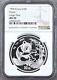 Ngc Ms70 Chine 1994 Grande Date Panda Pièce En Argent 1oz 10 Yuan Pz Surface