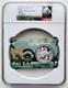 Ngc Ms 70 Chine 2025 Hainan Expo Carte &Eacute;dition Pi&egrave;ce D&rsquo;argent Panda 30 G 10 Yuan