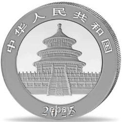 Nuit & Jour Panda 2 x 2025 10 Yuan 30 Grammes Ensemble de Pièces en Argent Pur Coloré Chine